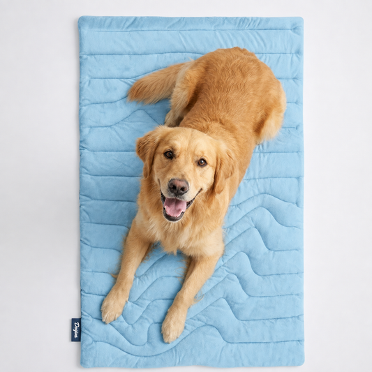 Dogimat™